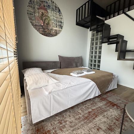 Ivis House Modern Apartment In Vilnius Old Town With Balcony 维尔纽斯 外观 照片