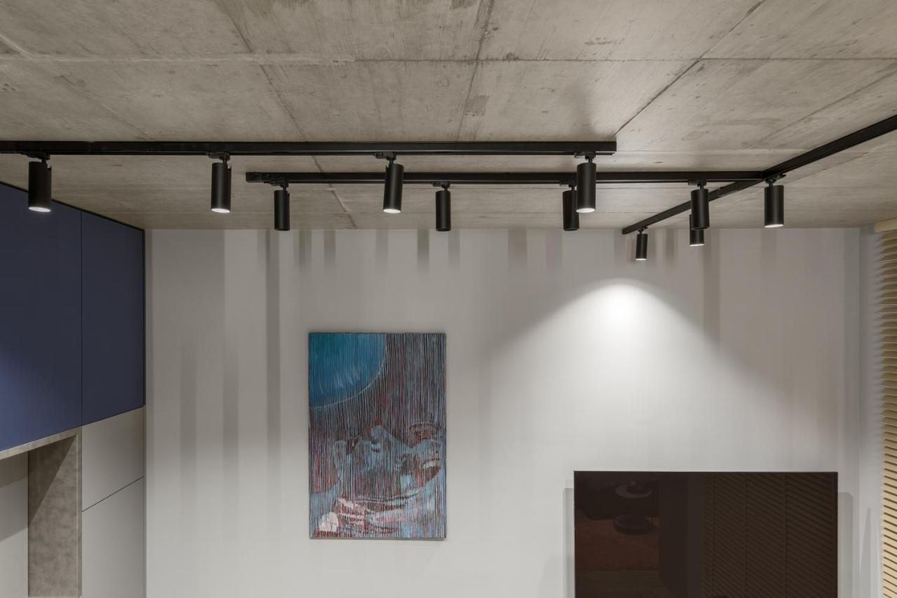 Ivis House Modern Apartment In Vilnius Old Town With Balcony 维尔纽斯 外观 照片