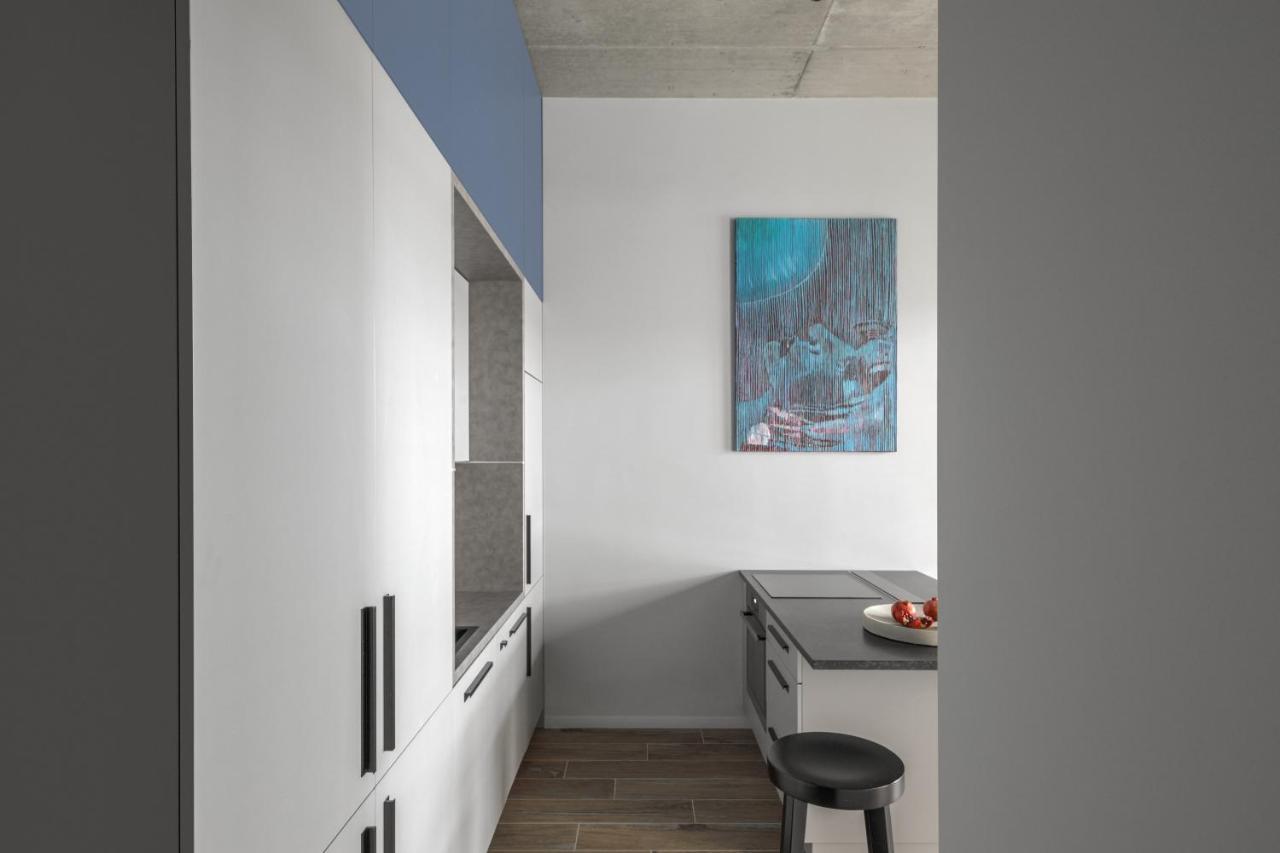 Ivis House Modern Apartment In Vilnius Old Town With Balcony 维尔纽斯 外观 照片