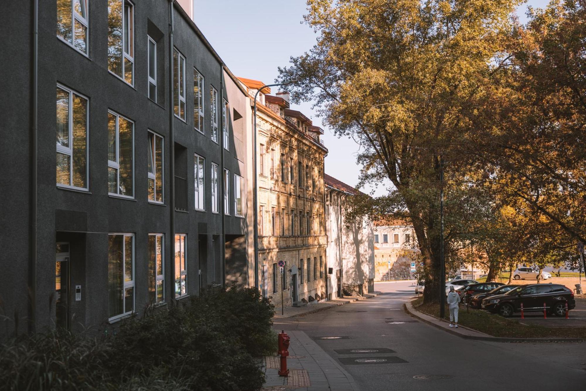 Ivis House Modern Apartment In Vilnius Old Town With Balcony 维尔纽斯 外观 照片
