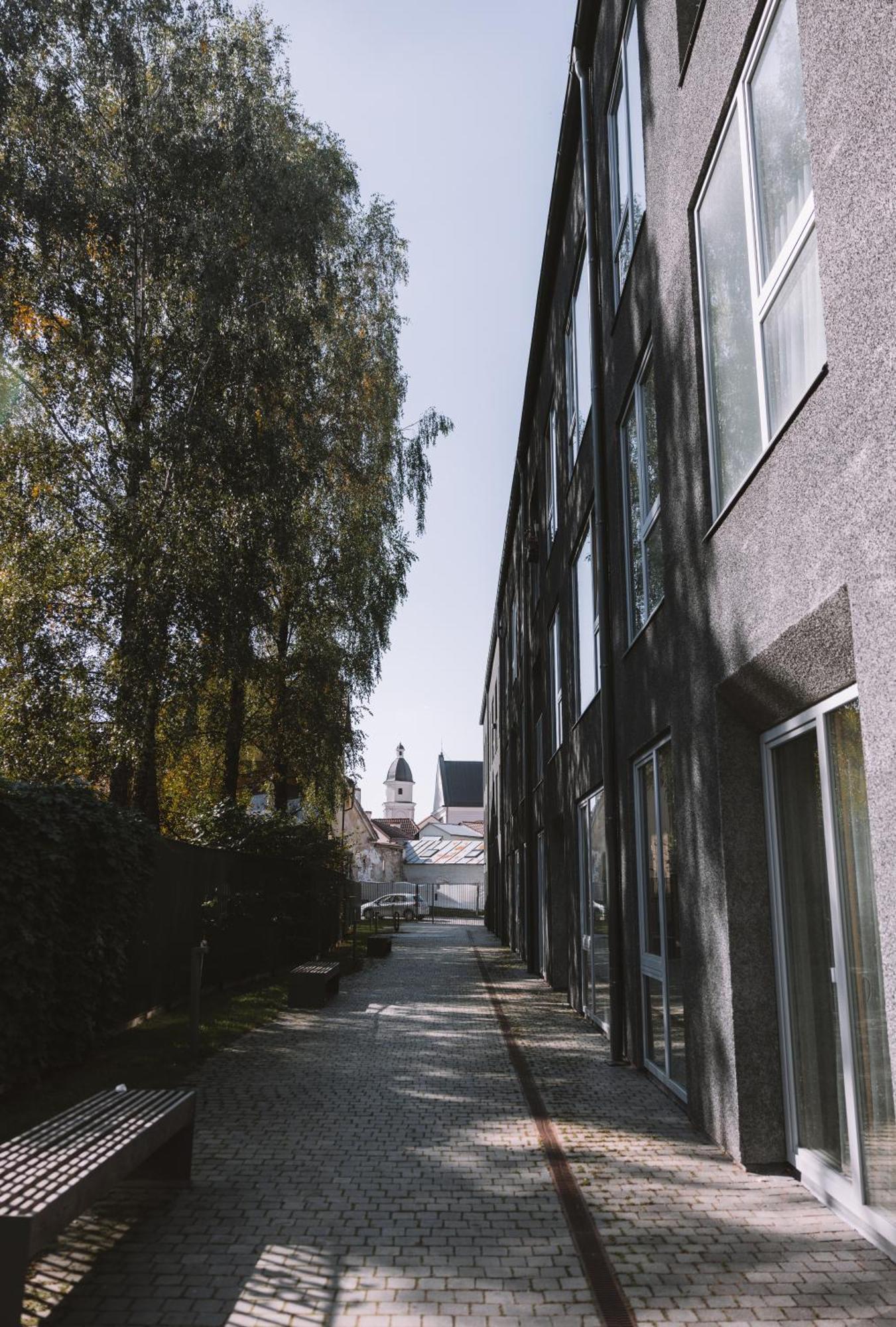 Ivis House Modern Apartment In Vilnius Old Town With Balcony 维尔纽斯 外观 照片